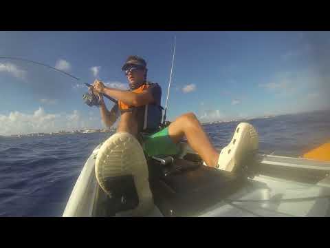 A la pêche au Moule – Beau Barracuda pris au jig – Kayak Guadeloupe