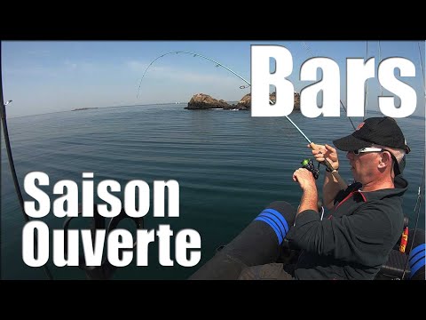 BAR : Saison 2019 Ouverte – Pêche dans le Morbihan Houat Hoëdic