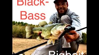 Black-Bass au gros leurre de surface/Bass on big topwater lure