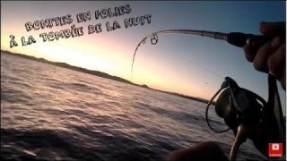 BONITES EN FOLIES : Pêche en mer sur chasse au jig- leurre – à la tombée de la nuit – sea fishing