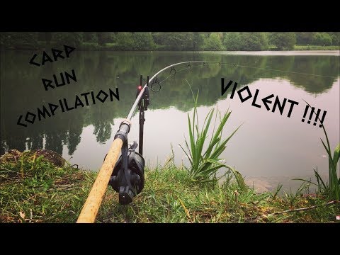 Carp Run COMPILATION – départs en direct 100% VIOLENT !