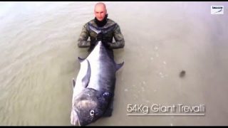 Chasse sous-marine 54 kg géant Carangue Showdown – Top Shots Big Fish Chasse apnée Pesca