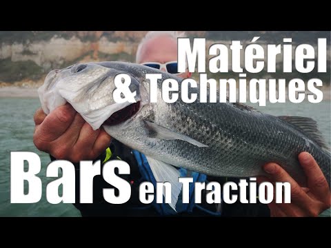 COMMENT PECHER le bar en traction : Technique et Matériel