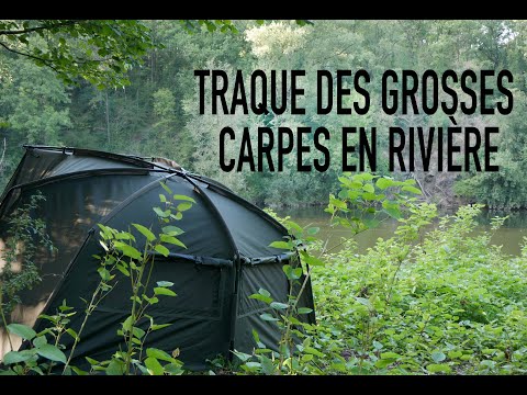 Deux jours pour attraper une big carpe de rivière /Pêche de la carpe