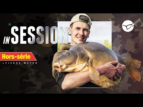 IN SESSION | Hors-série | CARTON de grosses carpes au Prunet (Carpa-Sens)