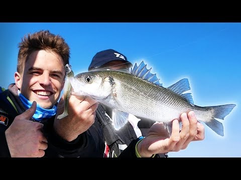 On s'affronte dans une ÉNORME compétition de PECHE EN MER – Barracuda Tour 2019