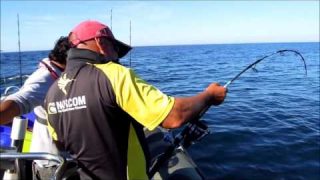 pêche au thon rouge à la Rochelle avec Yannick Deslandes et Didier Courtois peche en mer