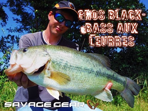 Pêche de gros Black-Bass aux leurres Savage Gear