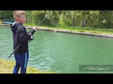 Pêche de la carpes en canal(gros depart)