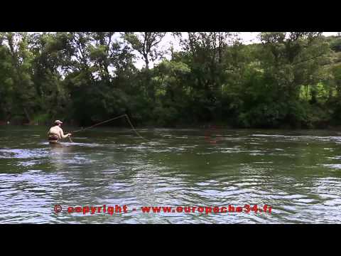 Pêche des grandes truites fario du Tarn à la mouche. Europêche34