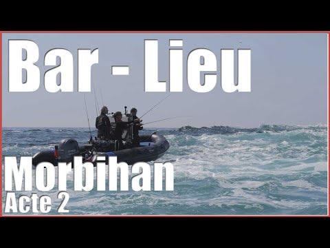 Pêche du BAR et du LIEU dans le MORBIHAN : Jour 2 d'un trip de pêche en Bretagne