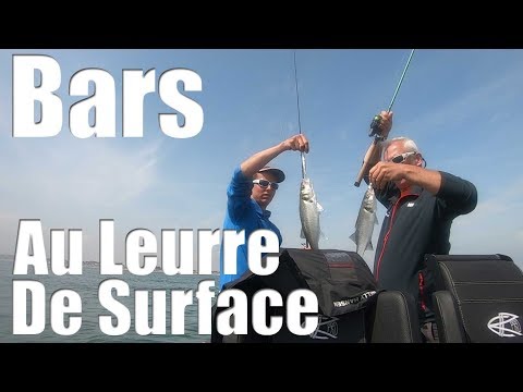 PÊCHE DU BAR : Quand le LEURRE de SURFACE est la solution