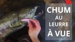 Pêche d'un saumon Chum à vue au Vageon de YAG