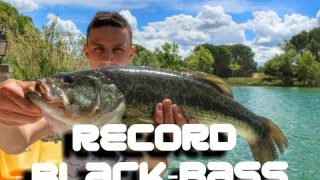 RECORD Black-Bass  60cm pour près de 4 kilos