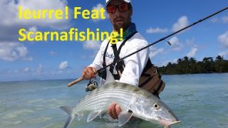 Rodmaps, objectif Bonefish en Guadeloupe!