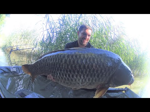 Session carpe Saône 2019