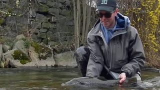 Très grosse truite sauvage à la mouche – 71cm HUGE wild TROUT on FLY