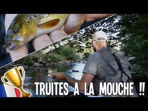 TRUITES à la mouche avec LE CHAMPION DU MONDE !!!