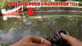 Ouverture carnassier 2018 ! Énorme brochet au canal du Midi !!!