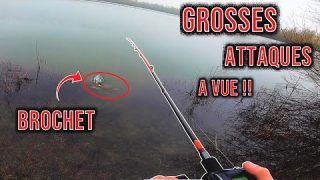 PECHE du BROCHET : JERKBAIT, LE MEILLEUR LEURRE ?  🎣