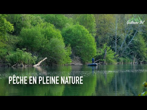 Pêche de la CARPE en RIVIÈRE / Pleine nature