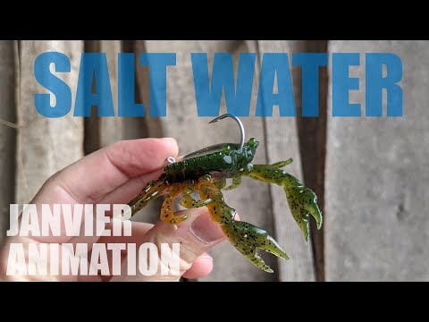 Animation des leurres – Fisher Box Salt Water JANVIER