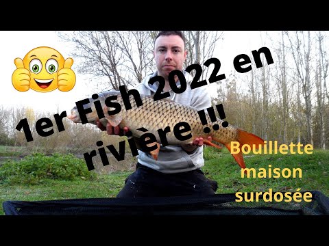 Première pêche 2022 en rivière, test des bouillettes maison surdosées